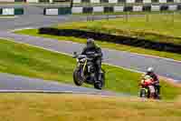Lower Group Black Bikes